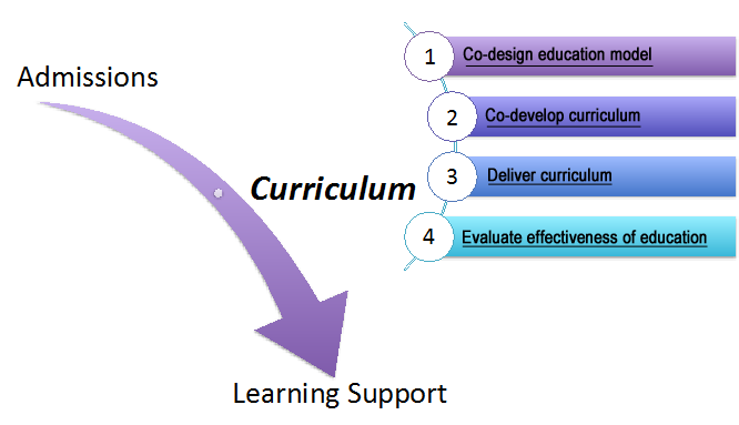 4 Key Elements of Involving Patient/Family Educators